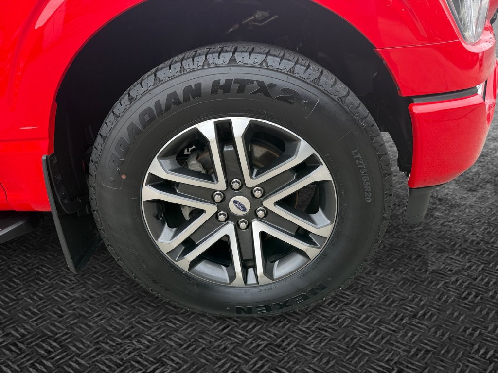 Used 2022 Ford F150 XL w/ STX Appearance Package AWD/4WD image 11