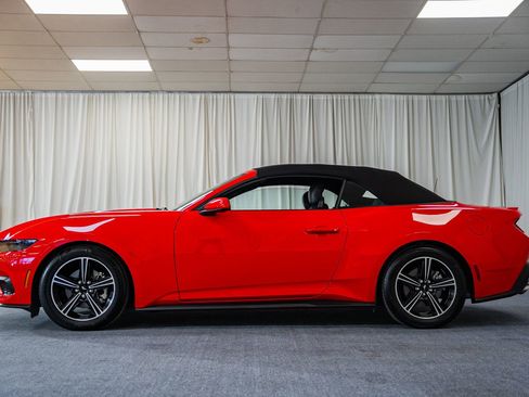 Certified 2025 Ford Mustang Premium image 5