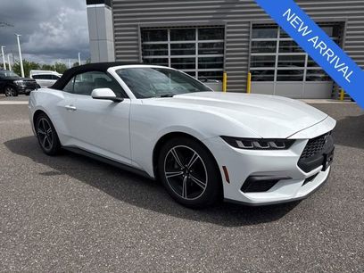 Used 2024 Ford Mustang Premium