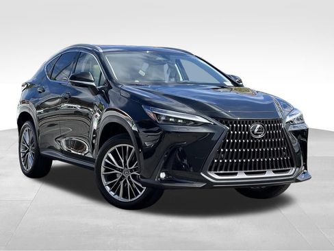 Used 2025 Lexus NX 350h AWD w/ Accessory Package (K3) image 7