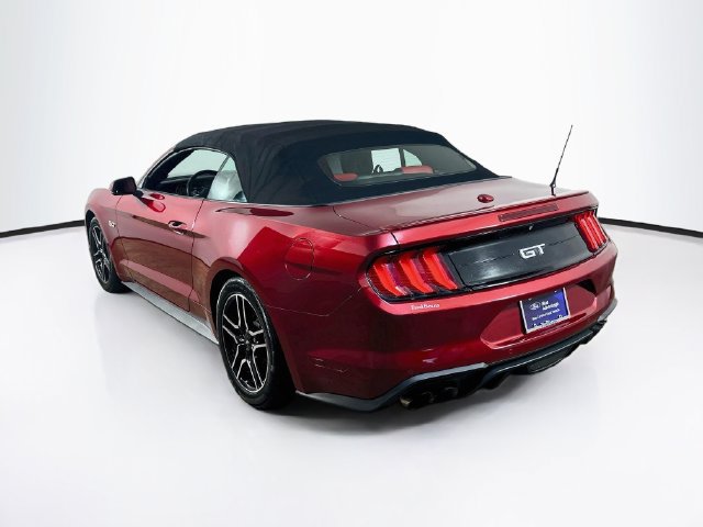 Used 2019 Ford Mustang GT Premium w/ Equipment Group 401A RWD image 7