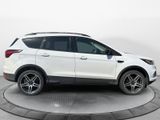 Used 2019 Ford Escape SEL image 2