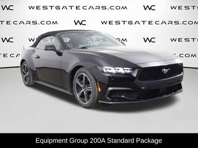 Used 2024 Ford Mustang Premium