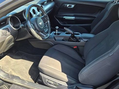 Used 2019 Ford Mustang GT w/ Equipment Group 301A RWD image 9