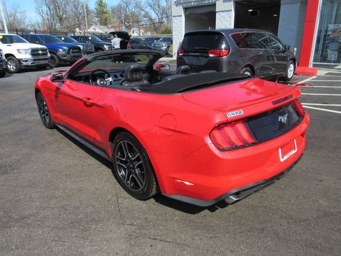 Used 2019 Ford Mustang Premium image 7