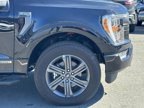 New 2023 Ford F150 XLT w/ Equipment Group 302A High image 38