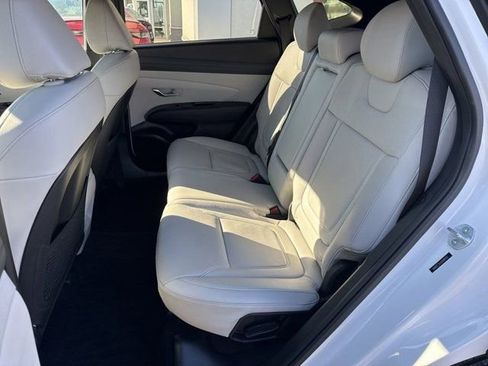Used 2025 Hyundai Tucson Limited image 8