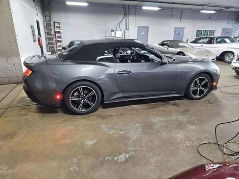 Used 2025 Ford Mustang Premium RWD image 4