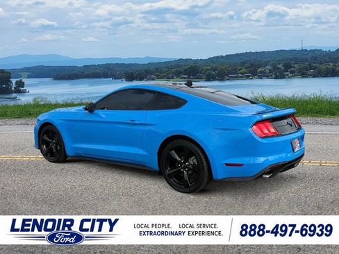 Used 2023 Ford Mustang Coupe w/ Equipment Group 101A RWD image 5