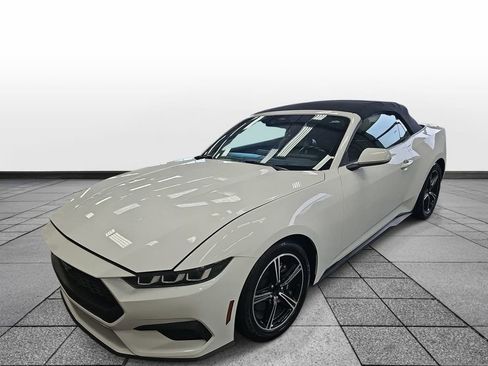 Used 2024 Ford Mustang Premium image 1