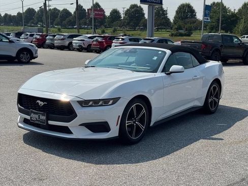 Used 2024 Ford Mustang Premium RWD image 7