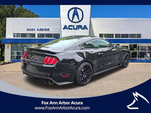 Used 2017 Ford Mustang Shelby GT350 RWD image 5