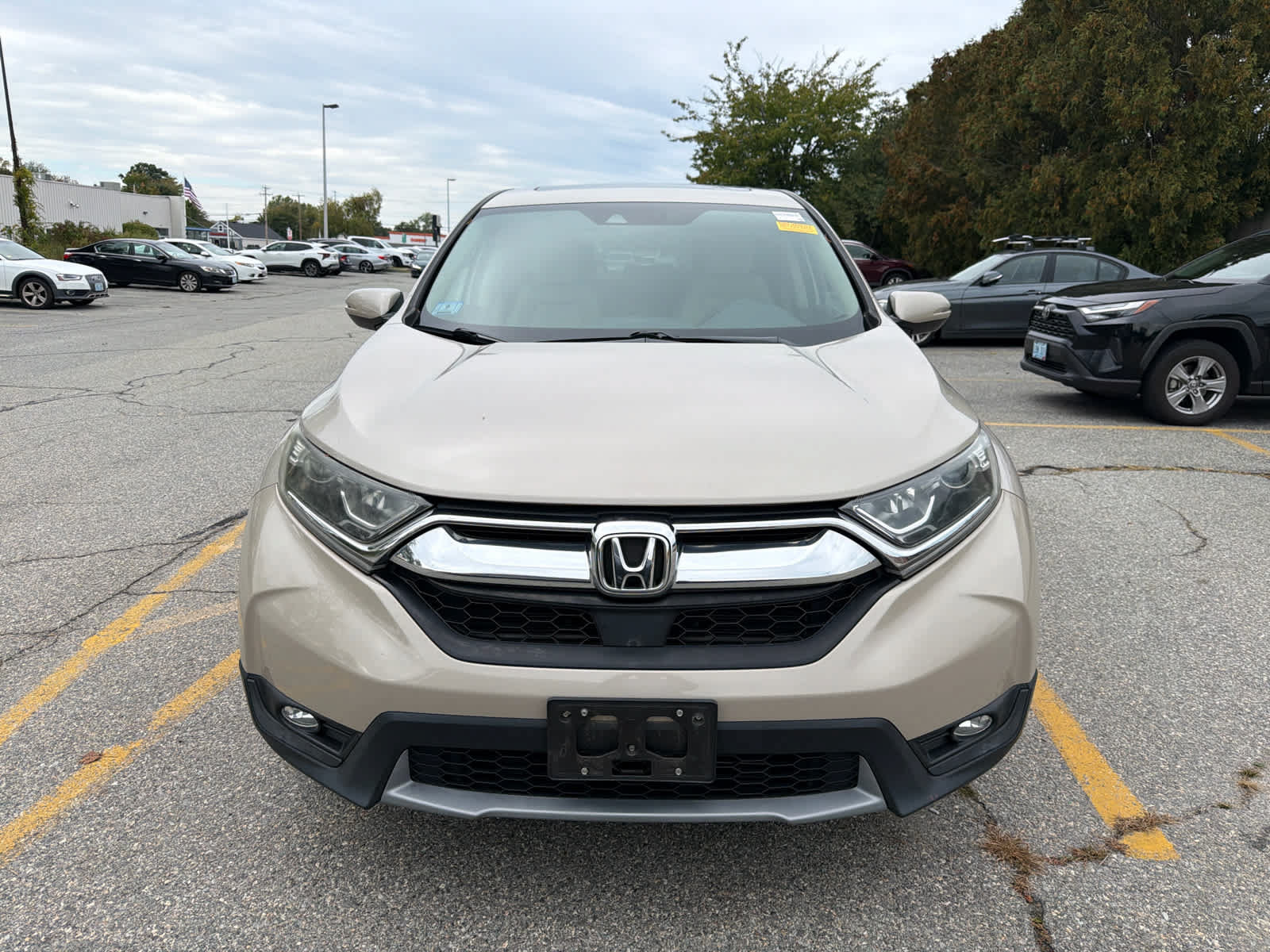 Used 2019 Honda CR-V EX image 5