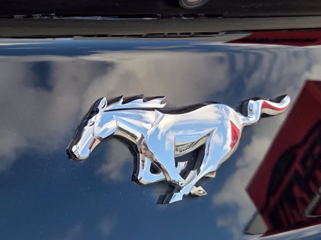 Used 2016 Ford Mustang Premium w/ Equipment Group 201A RWD image 13