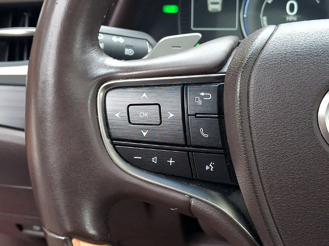 Used 2019 Lexus ES 300h w/ Accessory Package 2 FWD image 22