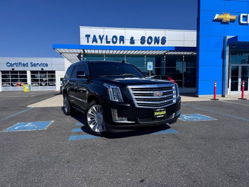 Used 2017 Cadillac Escalade Platinum AWD/4WD image 1