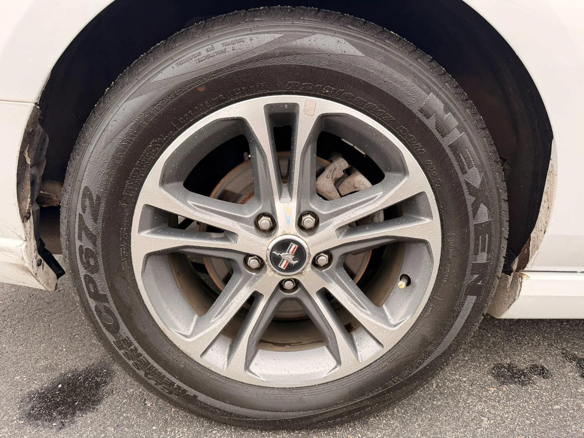 Used 2014 Ford Mustang Premium RWD image 36