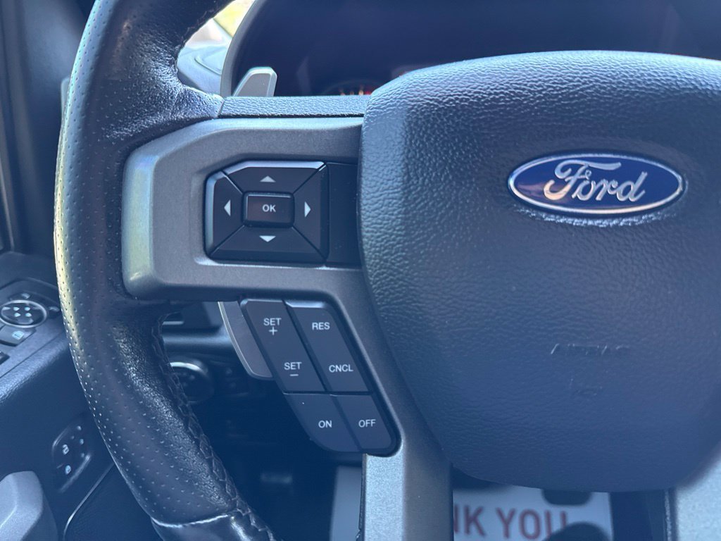Used 2018 Ford F150 Raptor w/ Equipment Group 802A Luxury AWD/4WD image 18