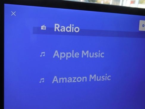 Used 2022 Toyota Tundra TRD Pro image 41