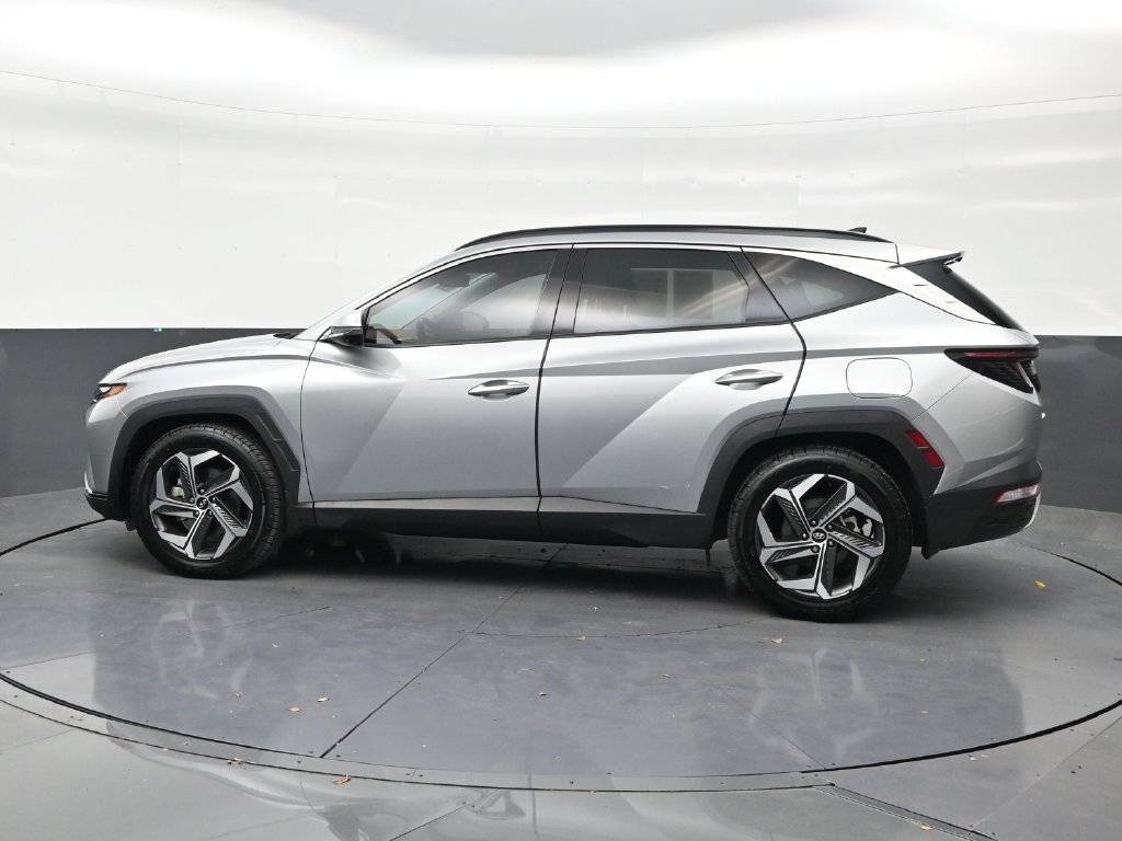 Used 2024 Hyundai Tucson Limited FWD image 2