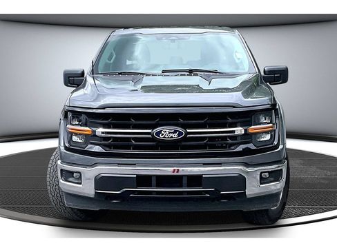 Used 2025 Ford F150 XLT w/ Equipment Group 301A Standard AWD/4WD image 4