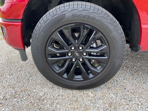 Used 2025 Ford F150 XLT w/ Equipment Group 303A High AWD/4WD image 16