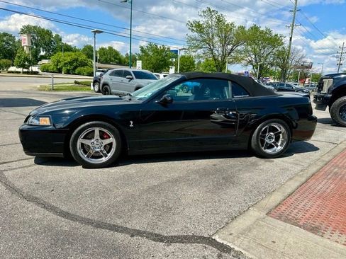 Used 2004 Ford Mustang Cobra RWD image 5
