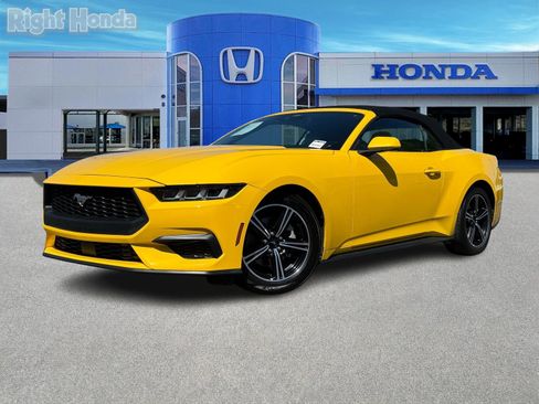 Used 2024 Ford Mustang Premium image 2
