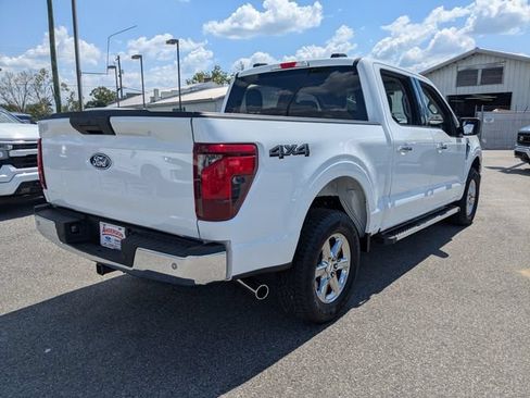Used 2025 Ford F150 XLT w/ Equipment Group 301A Standard AWD/4WD image 6