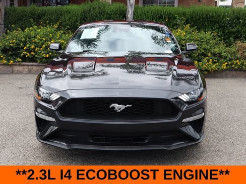 Used 2023 Ford Mustang Coupe RWD image 3