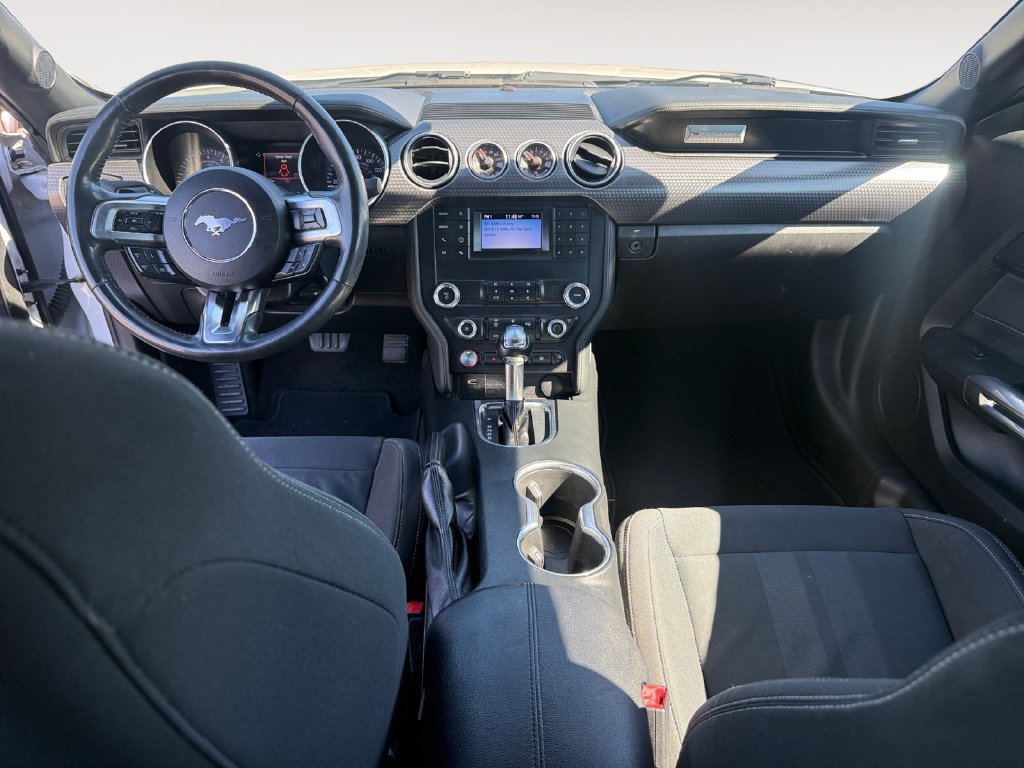 Used 2019 Ford Mustang Convertible w/ Ecoboost Performance Package RWD image 10