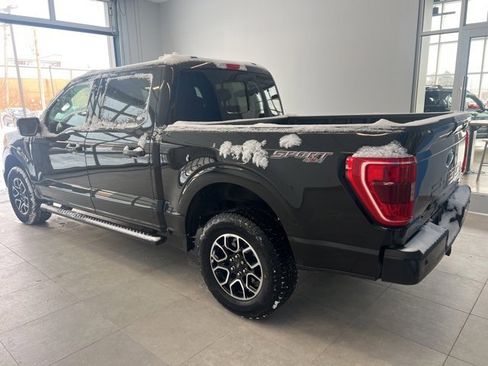 Used 2023 Ford F150 XLT w/ Equipment Group 302A High image 5