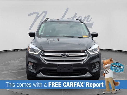 Used 2019 Ford Escape SEL AWD/4WD image 2