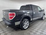 Used 2013 Ford F150 Limited image 3