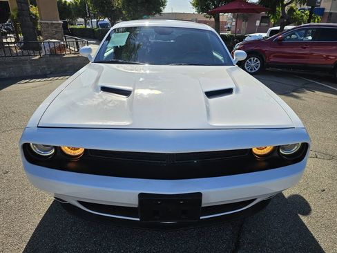 Used 2019 Dodge Challenger SXT w/ Blacktop Package image 2