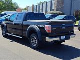 Used 2013 Ford F150 XLT w/ Luxury Equipment Group image 3