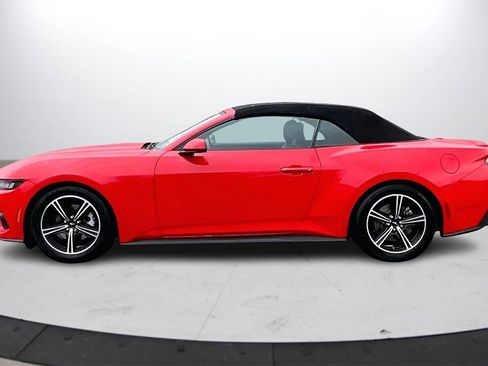 Used 2024 Ford Mustang Premium image 5