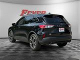 Used 2022 Ford Escape SE w/ SE Sport Appearance Package image 5