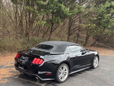 Used 2017 Ford Mustang Premium w/ Equipment Group 201A image 7