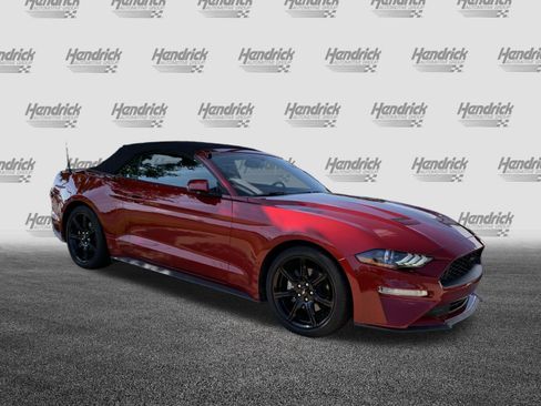 Used 2019 Ford Mustang Premium w/ Equipment Group 201A RWD image 2