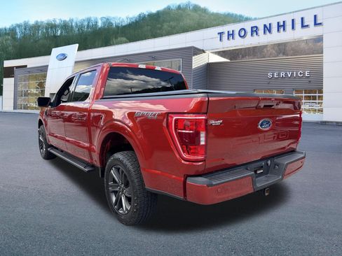 Used 2023 Ford F150 XLT w/ Equipment Group 302A High AWD/4WD image 6