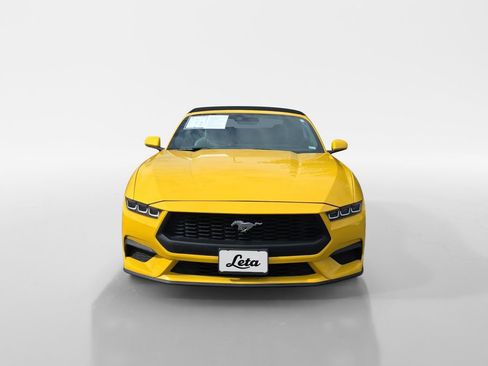 Used 2024 Ford Mustang Premium image 8