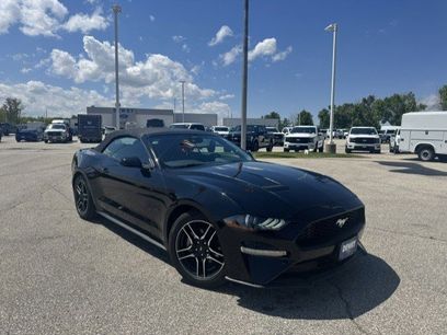 Used 2023 Ford Mustang Premium