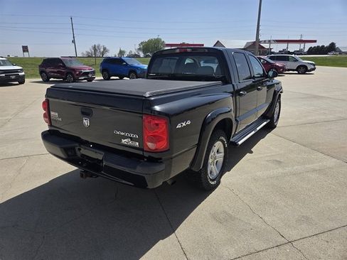 Used 2010 Dodge Dakota Big Horn AWD/4WD image 3