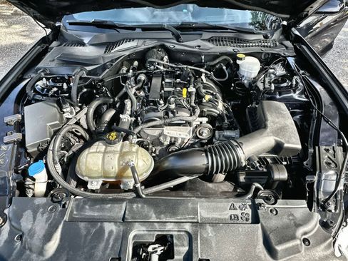 Used 2021 Ford Mustang EcoBoost w/ Equipment Group 101A image 9