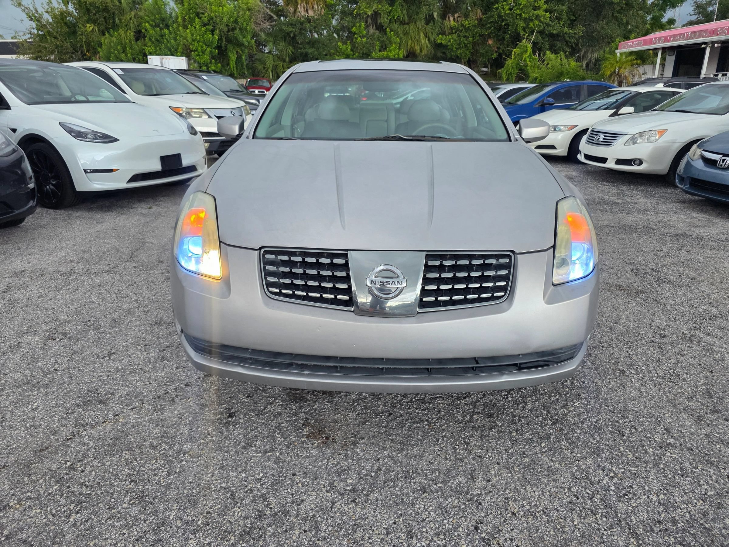 Used 2005 Nissan Maxima FWD image 2