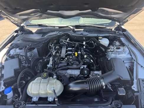 Used 2023 Ford Mustang Premium image 29