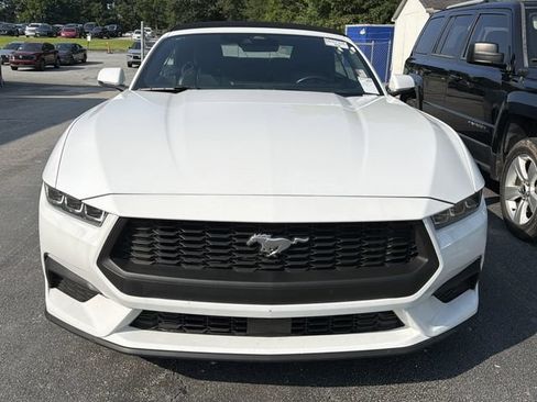 Used 2024 Ford Mustang Premium RWD image 2