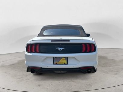 Used 2019 Ford Mustang Premium