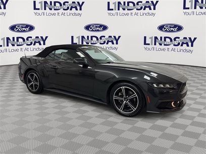 Certified 2024 Ford Mustang Premium